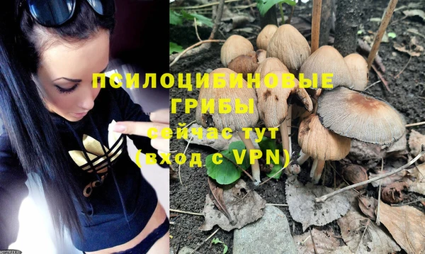 PSILOCYBIN Балахна