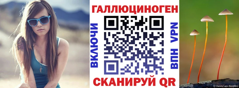 Галлюциногенные грибы Psilocybe  Горячеводский 
